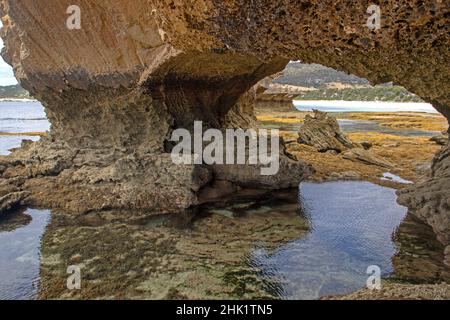 Arche de mer à Port Davies, île Flinders Banque D'Images