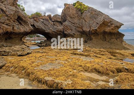Arche de mer à Port Davies, île Flinders Banque D'Images