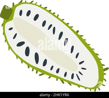 Moitié isolée de fruit vert soursop Illustration de Vecteur