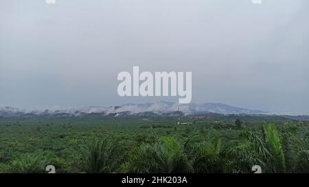 Une journée sombre et brumeuse dans une forêt tropicale sur une île tropicale Banque D'Images