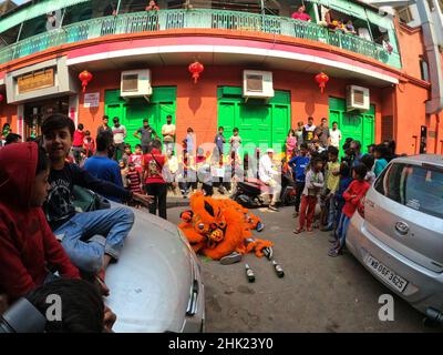 Kolkata, Inde.01st févr. 2022.La communauté chinoise vivant dans la ville effectue une danse du lion pour célébrer le premier jour de l'année lunaire chinoise.(Photo de Dipa Chakraborty/Pacific Press) crédit: Pacific Press Media production Corp./Alay Live News Banque D'Images