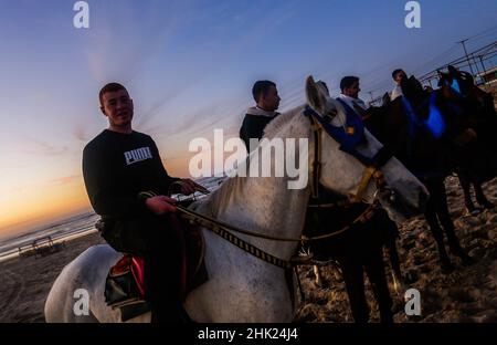 Gaza, Palestine.01st févr. 2022.Les Palestiniens font le tour de leurs chevaux le long de la plage pendant le coucher du soleil dans la ville de Gaza.Crédit : SOPA Images Limited/Alamy Live News Banque D'Images