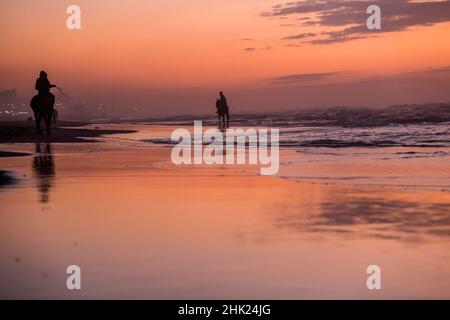 Gaza, Palestine.01st févr. 2022.Les Palestiniens font le tour de leurs chevaux le long de la plage pendant le coucher du soleil dans la ville de Gaza.Crédit : SOPA Images Limited/Alamy Live News Banque D'Images