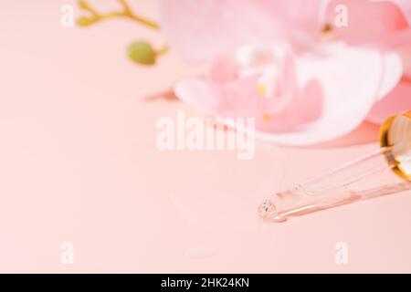 Orchidée et pipette remplies de liquide sur fond rose Banque D'Images