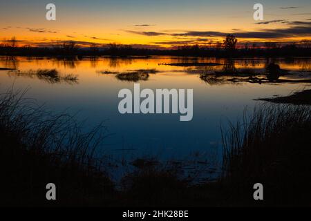 Pond Twilight, réserve d'animaux de Gray Lodge, Californie Banque D'Images