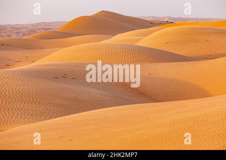 Moyen-Orient, Péninsule arabique, Ash Sharqiyah Nord, Bidiyah.Dunes de sable dans le désert d'Oman. Banque D'Images