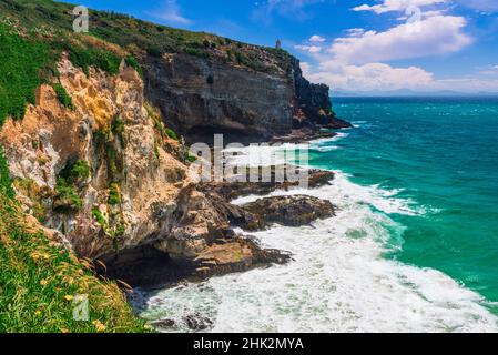 Harrington point sur la péninsule d'Otago, Otago, Île du Sud, Nouvelle-Zélande Banque D'Images