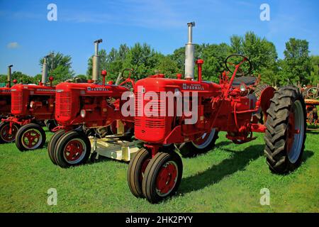 1954 Farmall Super C - et 1945 Farmall B exposés au Almelund Threshers Show, Almelund, Minnesota. Banque D'Images