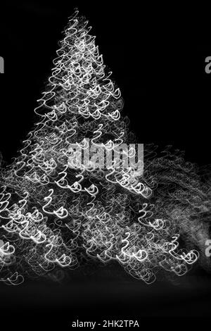 États-Unis, Arizona, Buckeye.Mouvement abstrait noir et blanc de l'arbre de Noël la nuit. Banque D'Images