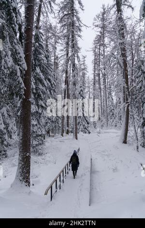 Femme marchant à travers les sentiers de forêt d'hiver dans le magnifique parc national enneigé par temps froid Banque D'Images