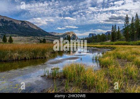 États-Unis, Wyoming.White Rock Mountain et Squaretop Peak au-dessus de la zone humide de Green River Banque D'Images