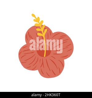 Hibiscus de fleur rouge isolé sur fond blanc.Magnifiques croquis botaniques dessinés à la main pour n'importe quel but.Illustration vectorielle de conception. Illustration de Vecteur