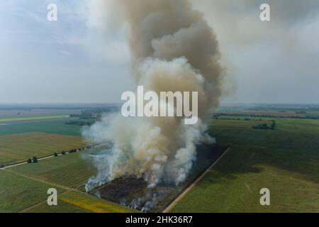 Brûlage d'été dans les prairies à la zone naturelle de l'État de Prairie Ridge, comté de Marion, Illinois Banque D'Images