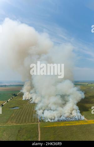 Brûlage d'été dans les prairies à la zone naturelle de l'État de Prairie Ridge, comté de Marion, Illinois Banque D'Images