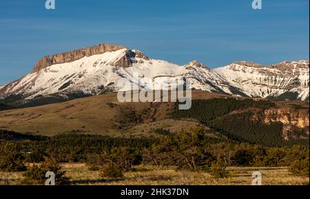 Lumière du matin sur Ear Mountain le long de Rocky Mountain Front près de Choteau, Montana, États-Unis Banque D'Images
