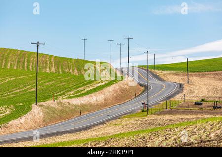 Colfax, État de Washington, États-Unis.Route de campagne sinueuse dans les collines de Palouse. Banque D'Images