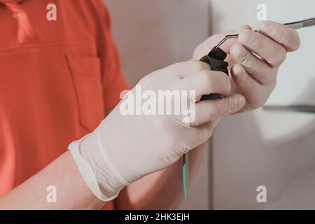 Le dentiste tient dans ses mains une radiographie de plusieurs dents, le diagnostic et l'évaluation des dents avec une radiographie, le traitement des rayons X. Banque D'Images