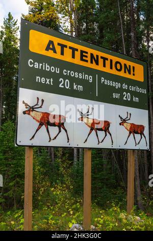 Panneau de passage du caribou, parc national Jasper, Alberta, Canada. Banque D'Images