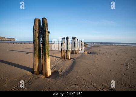 Vieux groynes usés ou brise-lames sur la plage de Sandsend en début de matinée, dans le North Yorkshire Banque D'Images