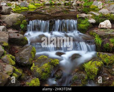 États-Unis, Californie, parc national de Yosemite. Chute d'eau de Fern Spring. Crédit : Dennis Flaherty / Jaynes Gallery / DanitaDelimont.com Banque D'Images