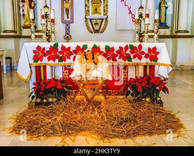 Basilique autel Noël Crèche Nativité, Mission San Jose del Cabo, Mexique. Mots espagnols au-dessus de l'autel 'Un sauveur est né à nous'. Mission fondée Banque D'Images