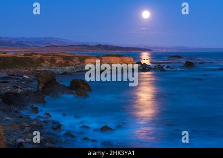 Pleine lune sur l'éléphant de Piedras Blancas rookery, San Simeon, California USA Banque D'Images