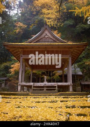Temple japonais entouré de feuilles d'automne de ginko jaune et orange Banque D'Images