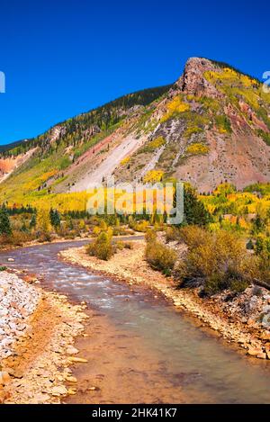 La couleur de l'automne le long du ruisseau de minéraux sous Red Mountain Pass, San Juan National Forest, Colorado, USA Banque D'Images