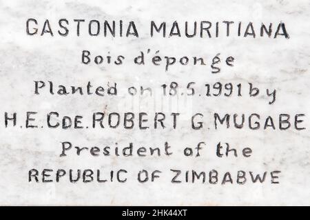 Plaque pour Sponge Wood, Gastonia mauritiana, maintenant nommé Polyscias marisiana, plantée par Robert Mugabe, Président du Zimbabwe, endémique à Maurice, Cr Banque D'Images