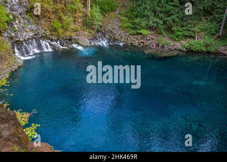 Tamolitch Falls Blue Pool sur la rivière McKenzie National Wild and Scenic, Oregon, Cascade Range. Banque D'Images