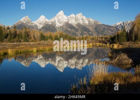 Grands Tetons qui se réfléchit à Beaver Pond Banque D'Images