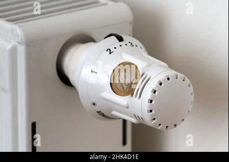 Munich, Allemagne.02nd févr. 2022.En raison de la flambée des prix, le gouvernement lance une subvention au chauffage.Thermostat, radiateur, photo symbolique, frais de chauffage, billets et pièces,euros, euros sont devant un radiateur, radiateur, hiver, frais supplémentaires, frais de vie supplémentaires,frais supplémentaires, après paiement, frais supplémentaires après paiement, frais de chauffage après paiement, locataires, frais de location supplémentaires, frais de chauffage paiement à l'avance, chauffage.Credit: dpa/Alay Live News Banque D'Images