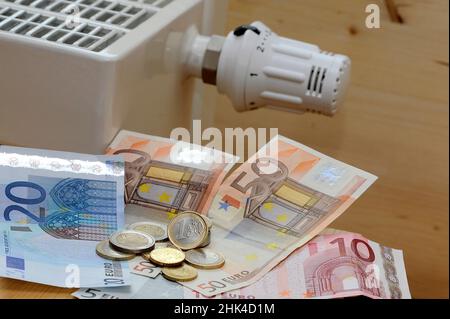 Munich, Allemagne.02nd févr. 2022.En raison de la flambée des prix, le gouvernement lance une subvention au chauffage.Thermostat, radiateur, photo symbolique, frais de chauffage, billets et pièces,euros, euros sont devant un radiateur, radiateur, hiver, frais supplémentaires, frais de vie supplémentaires,frais supplémentaires, après paiement, frais supplémentaires après paiement, frais de chauffage après paiement, locataires, frais de location supplémentaires, frais de chauffage paiement à l'avance, chauffage.Credit: dpa/Alay Live News Banque D'Images