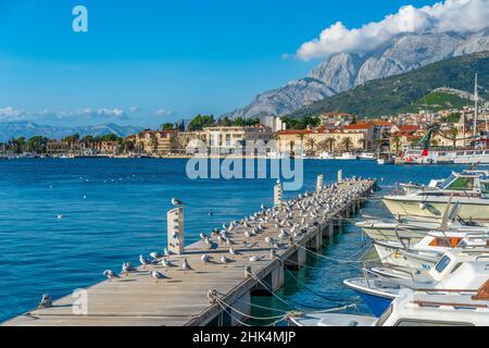 Mouettes reposant sur un quai flottant dans le port de Makarska, à Croaita Banque D'Images