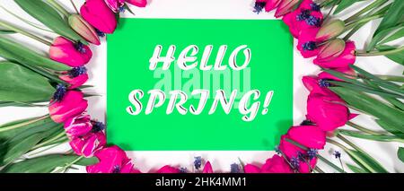 Cadre floral de tulipes roses avec le texte Hello Spring sur fond vert. Banque D'Images