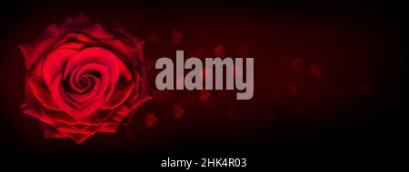Fleur de rose rouge en forme de coeur sur fond sombre avec lumière de bokeh en forme de coeur.Célébration de la Saint-Valentin.Rose rouge en forme de coeur, concept de valent Banque D'Images