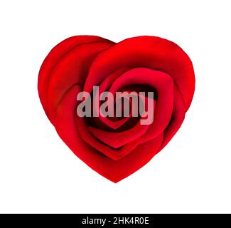 Fleur de rose rouge en forme de coeur.Rose rouge en forme de coeur isolée sur fond blanc.Célébration de la Saint-Valentin.Rose rouge, concept de Valentine's, ann Banque D'Images