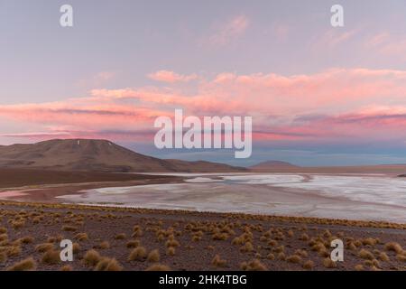 Coucher de soleil sur un lac de sel endorhéique dans l'altiplano, Réserve nationale de faune andine Eduardo Avaroa, Bolivie, Amérique du Sud Banque D'Images