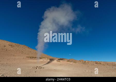 Geysers à Banos Termâles dans la réserve nationale de faune andine Eduardo Avaroa, département de Potosi, Bolivie, Amérique du Sud Banque D'Images