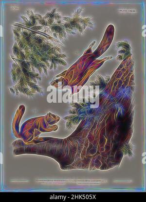 Inspiré par Severn River Flying Squirrel-Rocky Mountain Flying Squirrel, John James Audubon, américain, né en Haïti, 1785-1851, Lithographie, 27 x 21 po., 68,6 x 53,3 cm, vert permanent, faune, vol, flore, Mammifères, étude de la nature, pin, rongeurs, réimaginé par Artotop. L'art classique réinventé avec une touche moderne. Conception de lumière chaleureuse et gaie, de luminosité et de rayonnement de lumière. La photographie s'inspire du surréalisme et du futurisme, embrassant l'énergie dynamique de la technologie moderne, du mouvement, de la vitesse et révolutionne la culture Banque D'Images