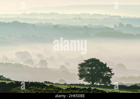 Brume matinale dans la vallée d'Esk autour de Lealholm dans le parc national des Moors du Yorkshire du Nord, Yorkshire, Angleterre, Royaume-Uni, Europe Banque D'Images