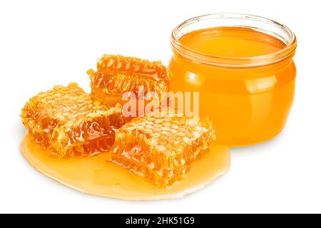 Nid d'abeilles et flaque de miel isolée sur fond blanc avec passe-cheveux et profondeur de champ totale Banque D'Images