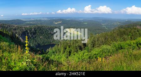 Vue depuis le sommet de Seebuck à Feldberg Mountain sur le lac de Feldsee, Forêt Noire, Bade-Wurtemberg, Allemagne, Europe Banque D'Images