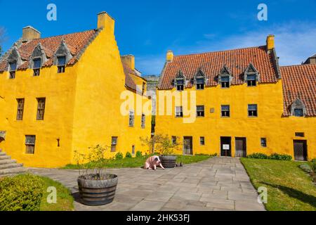 Cuross Palace, Cuross, Fife, Écosse, Royaume-Uni,Europe Banque D'Images