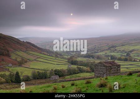 Lune s'élevant au-dessus des granges en pierre à Swaledale, Yorkshire Dales National Park, Thwaite, North Yorkshire, Angleterre, Royaume-Uni,Europe Banque D'Images