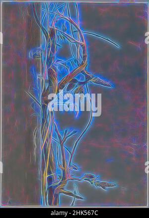 Inspiré par Wisteria on a Wall, Fidelia Bridges, cuisine américaine, 1834-1923, aquarelle sur papier graphite, 1870s, 14 x 10 1/16 po, 35,6 x 25,6 cm, bourgeons, artiste féminine, fleur, printemps, Vigne, aquarelle, femme artiste, revisitée par Artotop. L'art classique réinventé avec une touche moderne. Conception de lumière chaleureuse et gaie, de luminosité et de rayonnement de lumière. La photographie s'inspire du surréalisme et du futurisme, embrassant l'énergie dynamique de la technologie moderne, du mouvement, de la vitesse et révolutionne la culture Banque D'Images