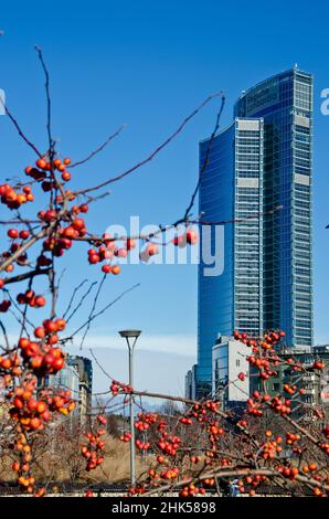 Biblioteca degli alberi, le nouveau parc de Milan surplombant le Palazzo della Regione Lombardia, gratte-ciel.02 février 2022.Italie Banque D'Images