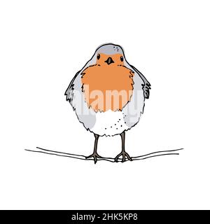 Robin Bird dessin vectoriel à la main, l'esquisse européenne de couleur rouge-gorge, isolée sur fond blanc Illustration de Vecteur