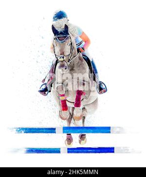 Jockey à cheval. Cheval blanc. Champion. Équitation. Sports équestres. Jockey équitation saut à cheval. Affiche. Sport. Arrière-plan blanc. Isolé Banque D'Images