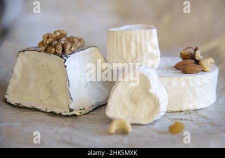 Différents types de fromage avec moule blanc sur le papier d'emballage.Production domestique, produits naturels. Banque D'Images